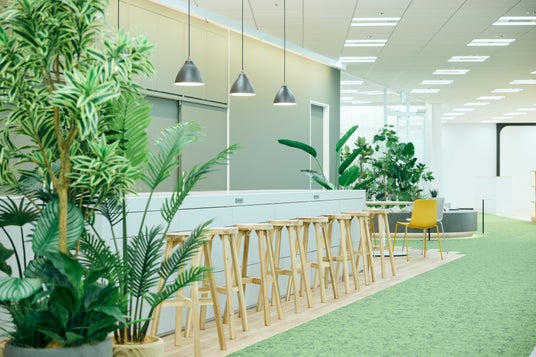 686dc51d513dd 44804-154-d5d067d12578372c0516fcdf0e482ec6-3900x2599.jpg