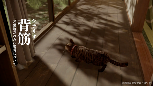 68d3c196e619b 7006-17762-27dcbe99e55ca5a60a2b1d2109f87dba-2560x1440.png