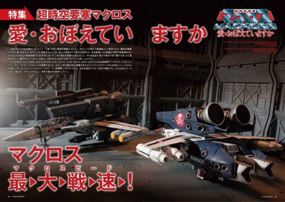 6929093476b57 bodyimage2.jpeg