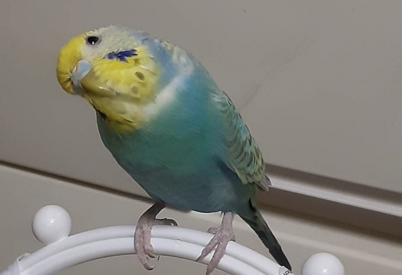 691e6f6276c9b bodyimage4.jpeg