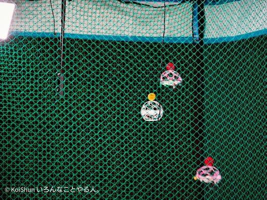 687729e430bda 97701-11-d8560b8a29fe9aa0024a7b242ec20a26-1439x1078.jpg