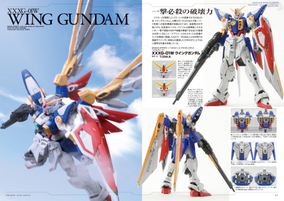 690c2452821de bodyimage2.jpeg