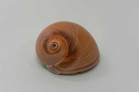 685609f6c71d6 24989-114-1f49f8ee4ebc71f99c9ff4366b2e4390-3185x2108.jpg