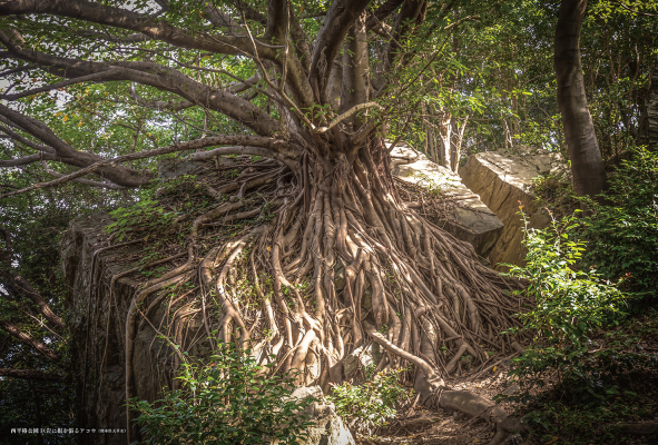 68ccc03aa181f bodyimage3.jpeg