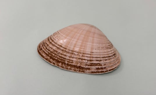 685609f77adf4 24989-114-da02008cfab3df7eb6b2f4a483200003-3655x2227.jpg