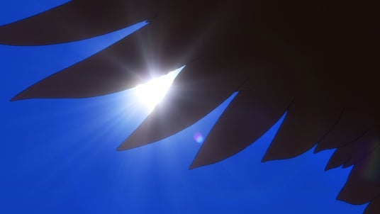 68d494b61ac37 7006-17795-72d87e15e6753b2f0585b9019dd49f8a-1920x1080.jpg