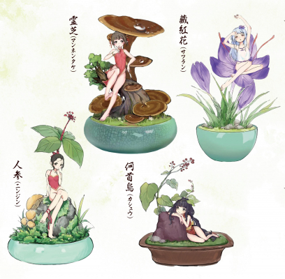 6881d2fcc265d bodyimage1.jpeg