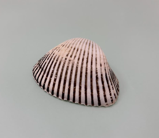 685609f551280 24989-114-4b02bfccaefd5dc238bd369cc40d7b96-719x624.png