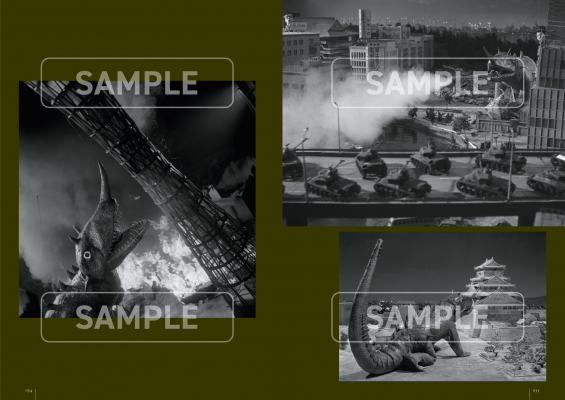 68ddc78b71ac3 bodyimage3.jpeg