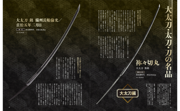 68673b827814b bodyimage2.jpeg