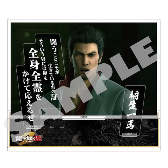 6915893d18df2 5397-6937-11a5c2d7528c09d9405e46a191c09c12-1000x1000.jpg