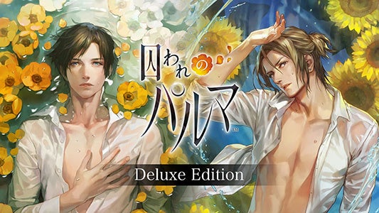 68b54c00edc4f 13450-5268-6eab812b6b99a04c3c582a855c3eff09-533x300.jpg