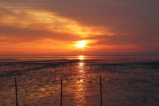 689400ab1fa51 164582-7-44462064c81e7e6bf74b1a5c0dc1795b-3900x2600.jpg