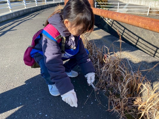 694215c7e663d 77755-45-670660af20a0e47741bef9cc53a973ac-1477x1108.jpg