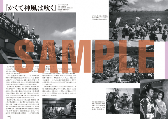 692ea3a0ada8d bodyimage2.jpeg