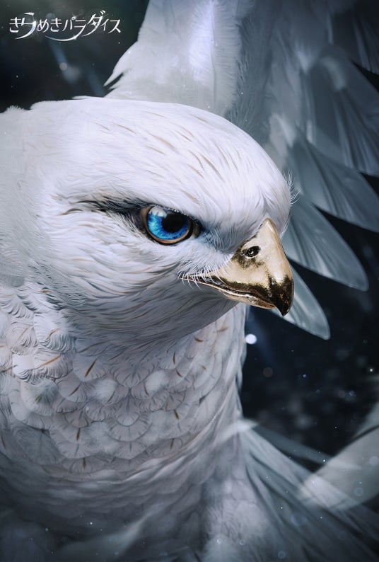 68d4a2628b5d2 79590-188-d2808e312fe67b34bc0e1746274f3502-1080x1600.jpg