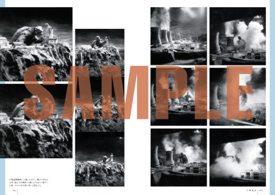 692ea39ac4f2c bodyimage4.jpeg