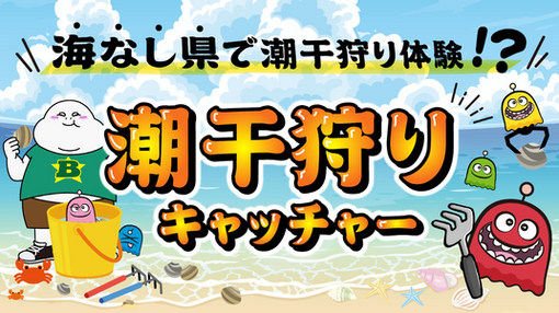 685609fb9d8b3 24989-114-d3447b707ccb4ca11487f7c19f8698c7-1216x682.png