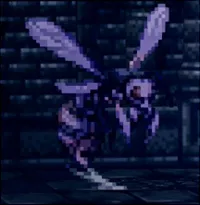 被験体（昆虫）