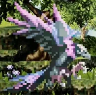 クロガラス別種