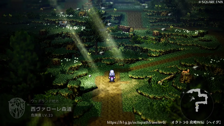 西ヴァローレ森道