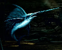 イッカクカジキ