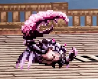 シザークラブ別種