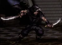 獰猛な上級盗賊III