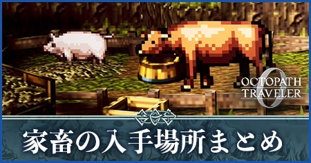家畜の入手場所まとめ