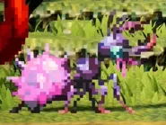 ユビキリアリ別種