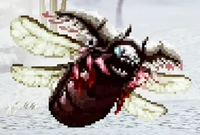 オオクロカバネ別種