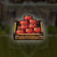 とれたてトマト