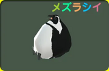 クイーンペンギン