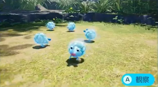 コンコチャッピー