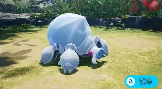 オオユキカブト