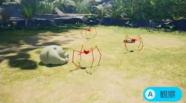 ベニショイグモ