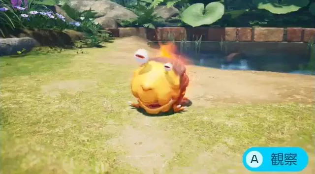 ヤキチャッピー