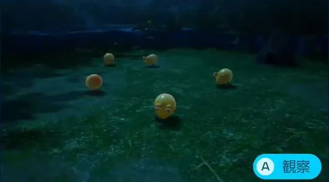 コチャッピーモドキ