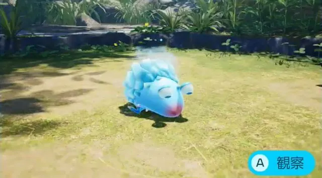 キンキンチャッピー