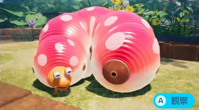 クイーンチャッピー