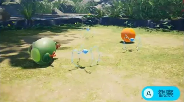 ハクショイグモ