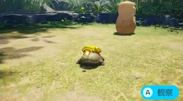 ザコサンショウ