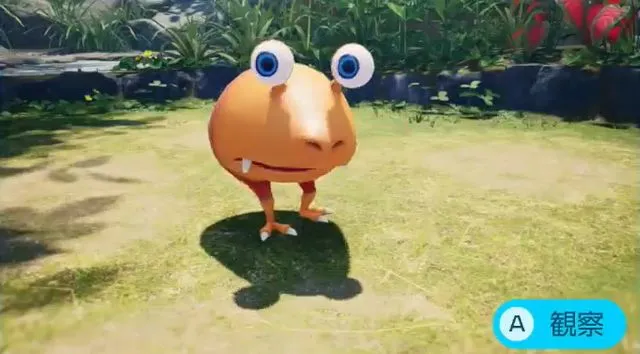 ジャンボチャッピー