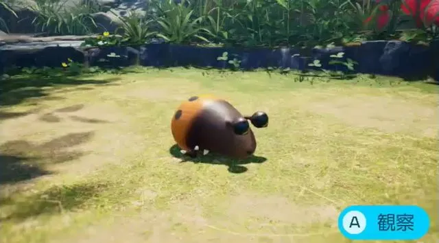 テンテンチャッピー