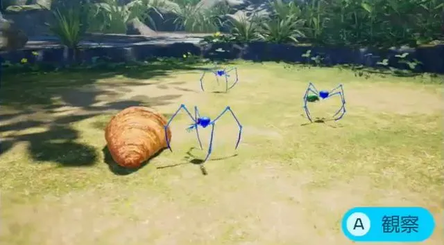 ルリショイグモ