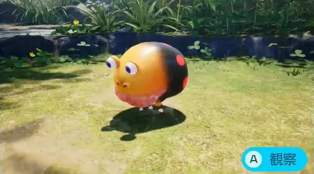 クマチャッピー