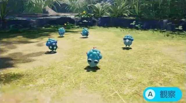 カビコチャッピー