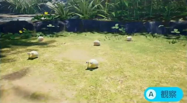 ベビーチャッピー