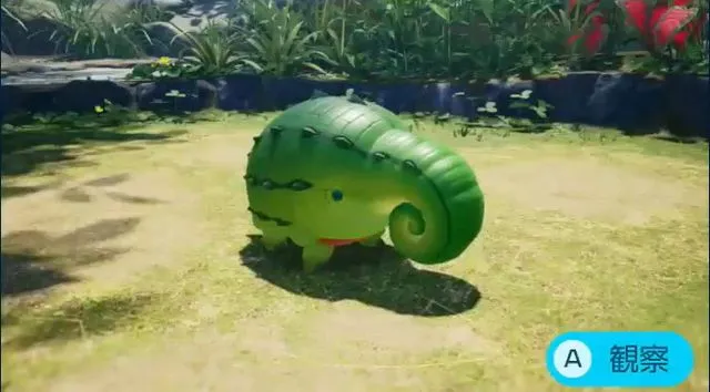 オオハナタタキ