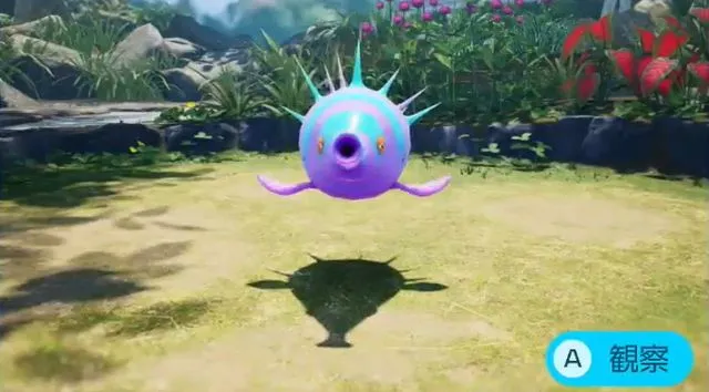 フーセンドックリ